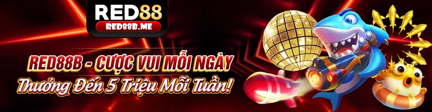 Minh họa các loại cookie khác nhau mà kk55 link sử dụng